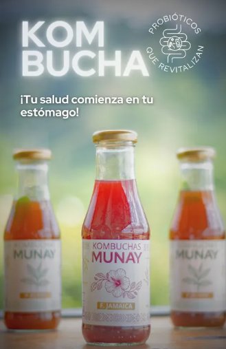 Kombucha MUNAY